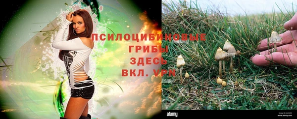 герыч Магадан