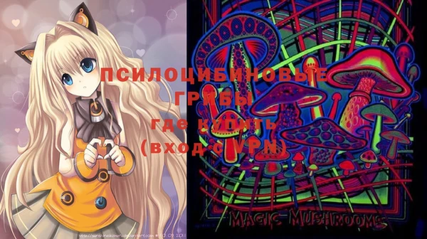 молекула духа Липки