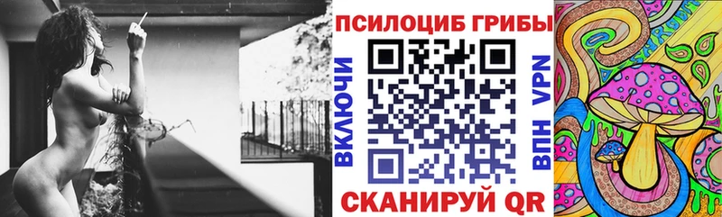 Галлюциногенные грибы GOLDEN TEACHER Новокузнецк